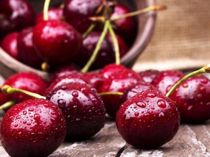 Вишня купить саженцы из питомника в Елабуге